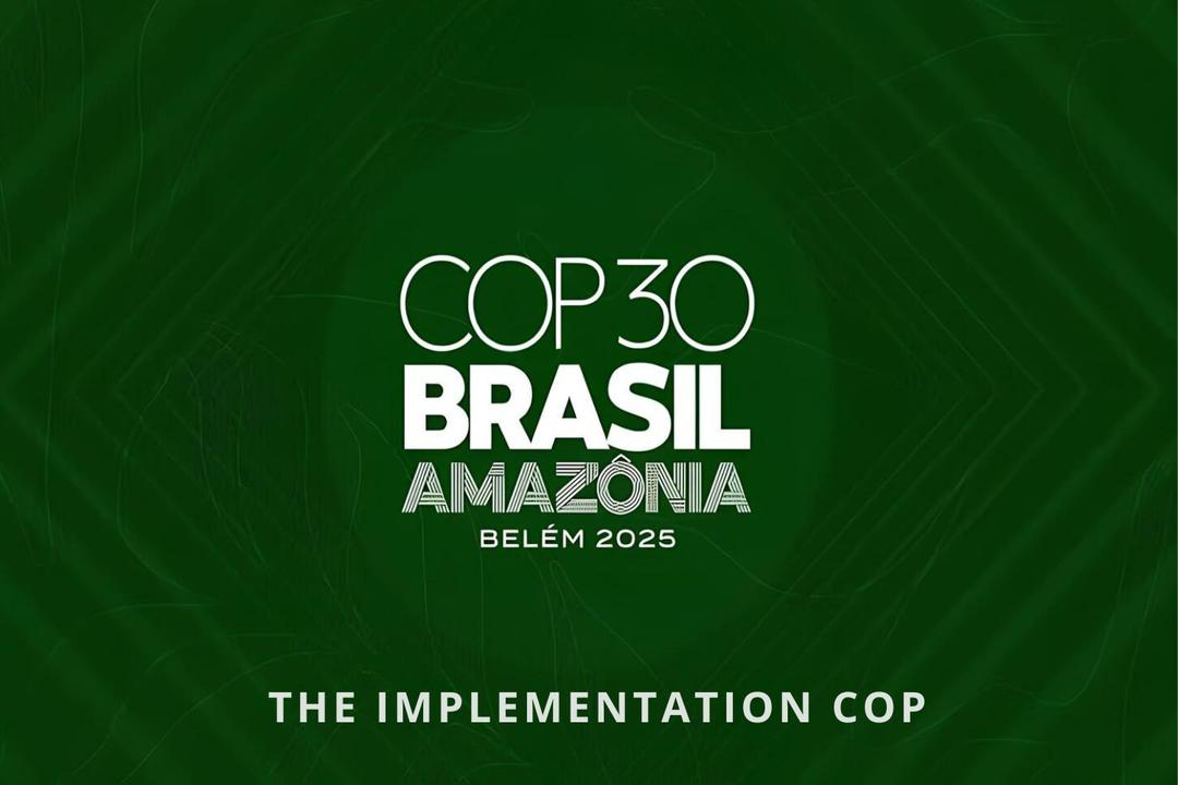 brazil cop