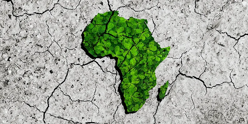 sustainability in the african context