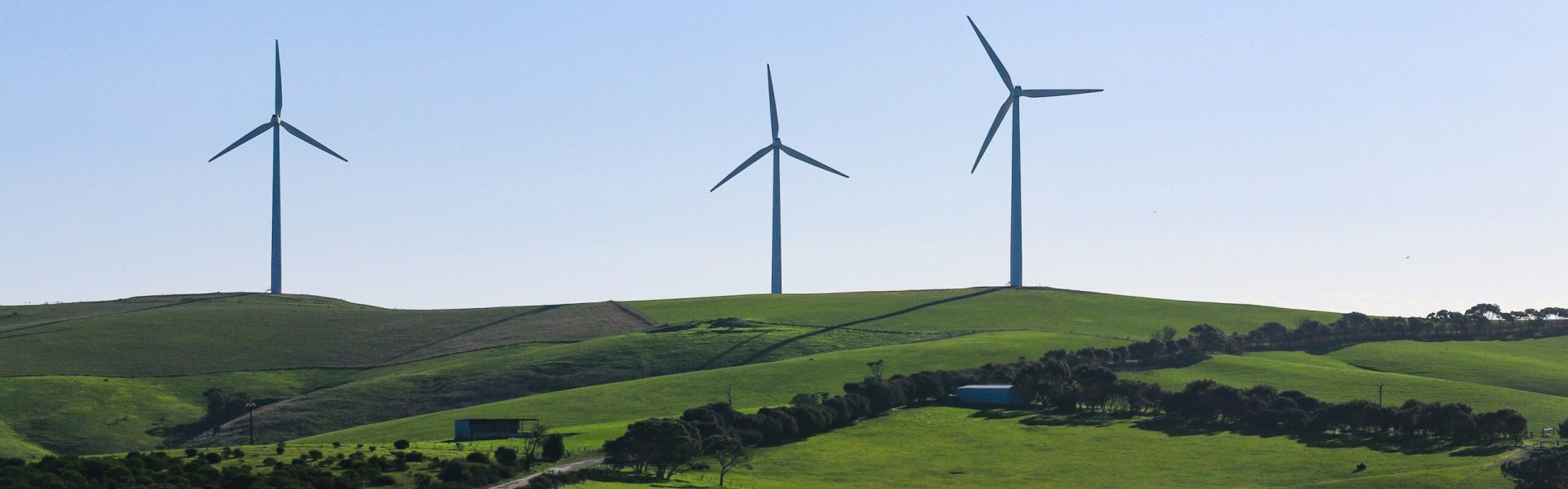 alex eckermann ofdfj1bukqw unsplash